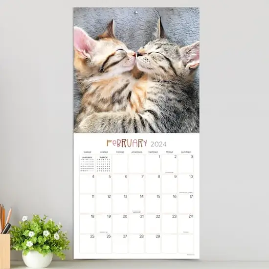 TF Publishing 2024 Cat Dreams Wall Calendar {5}