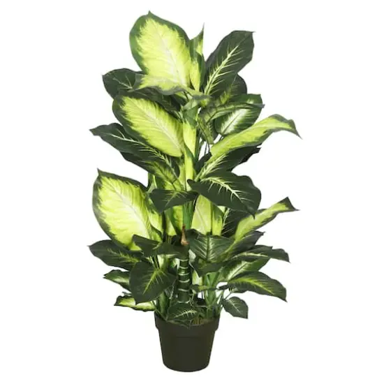3.3ft. Potted Artificial Green & White Dumb Cane Tree {1}