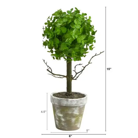 15" Potted Eucalyptus Topiary Tree {3}