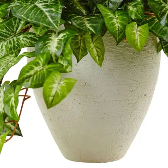 2ft. Nephthytis Artificial Plant in White Planter {3}