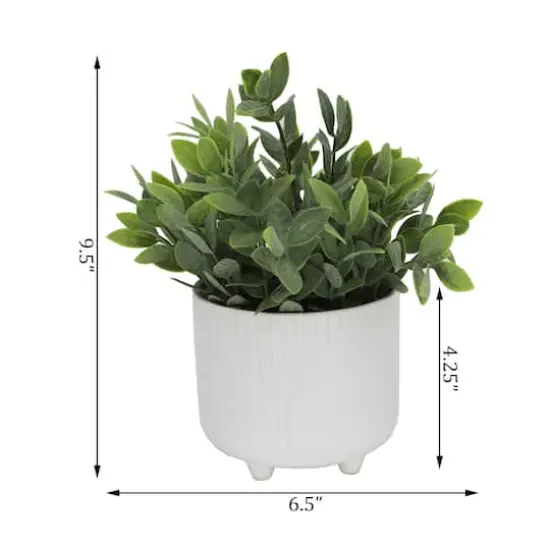 Flora Bunda&reg; Tea Leaf In White Cascade Footed Pot {3}
