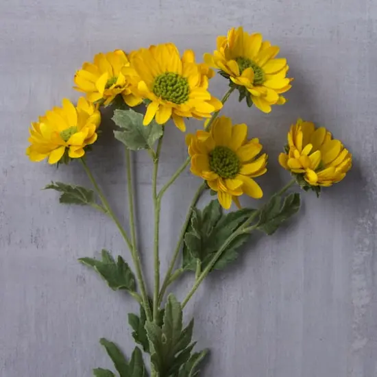 Gold Daisy Mum Spray by Ashland&reg; {3}