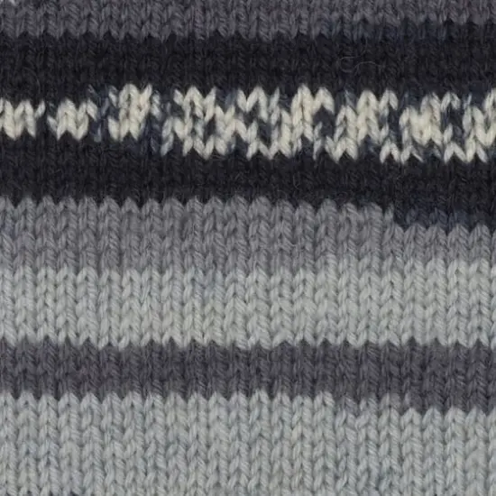 Patons&reg; Kroy Socks&trade; Yarn Slate Jacquard {5}