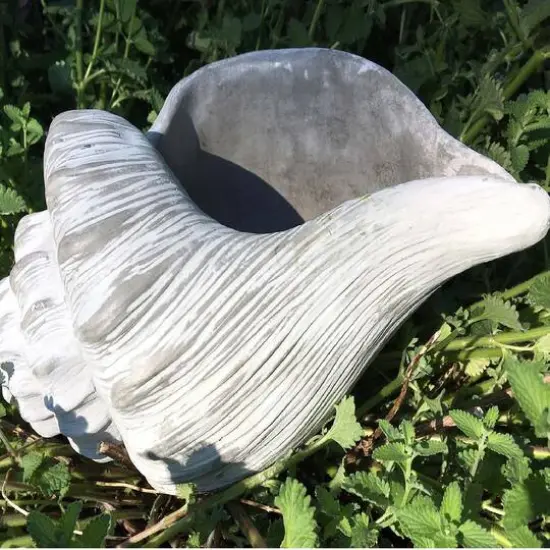 Santa's Workshop 10'' Cement Conch Planter Accent {3}