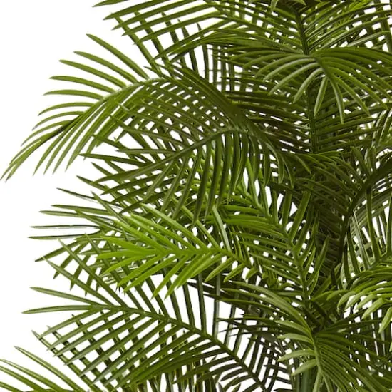 7ft. Potted Double Robellini Palm Tree {3}