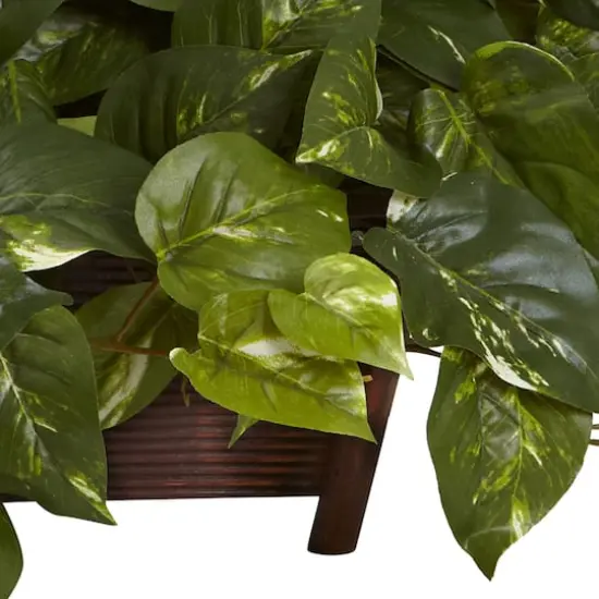 16" Pothos In Rectangle Decorative Planter {4}