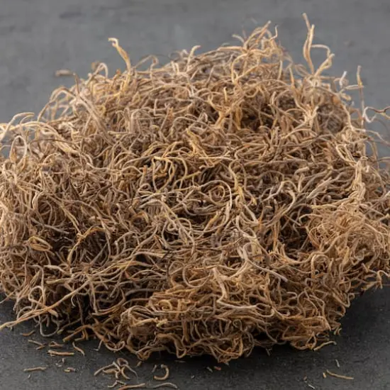 Natural Spanish Moss by Ashland&reg; {3}