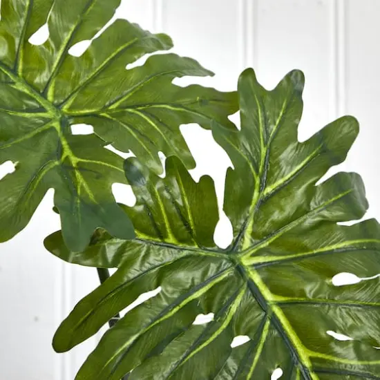 2.5ft. Philodendron Leaves in Cylinder Glass Vase {5}