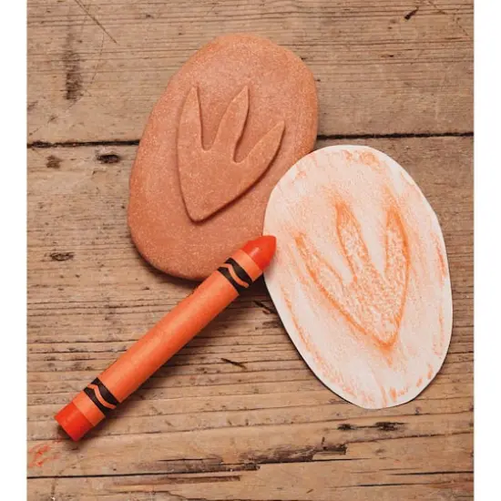 Yellow Door Let's Investigate Dinosaur Footprints {5}