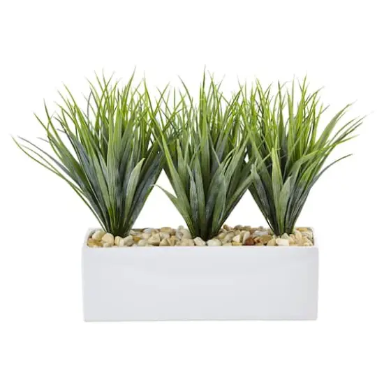 12" Vanilla Grass in White Rectangular Planter {1}