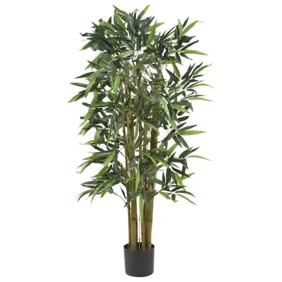 4ft. Potted Biggy Bamboo Tree {1}