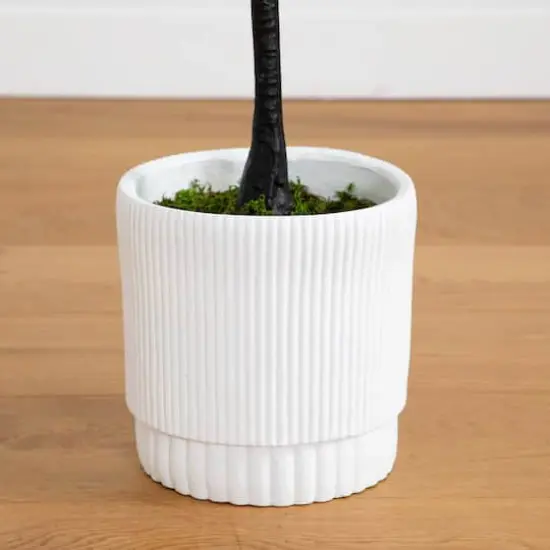 6ft. Bougainvillea Tree with White Decorative Planter {7}