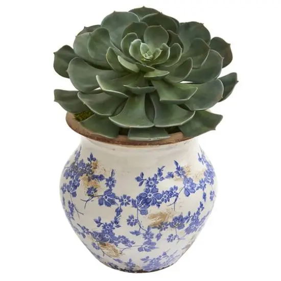 12" Echeveria Succulent Pick Plant in Vintage Floral Planter {1}