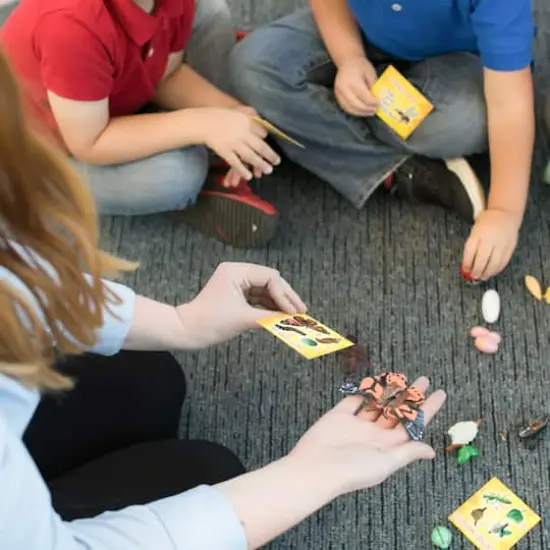 Insect Lore Life Cycle Figurine 24 Piece Set {4}