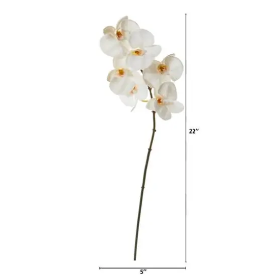22" Phalaenopsis Orchid Artificial Flower (Set of 12) {3}