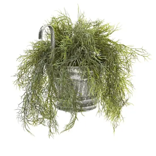10" Spanish Moss in Vintage Hanging Metal Pail {4}