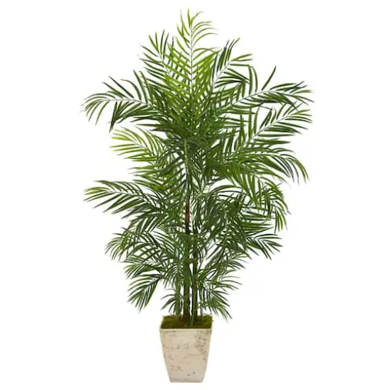 5.3ft. UV Resistant Areca Palm Tree in Country White Planter {1}