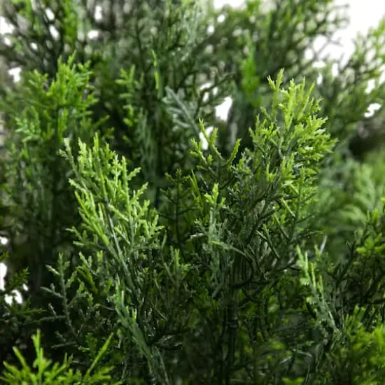 4ft. UV-Resistant Potted Cedar Bush {5}