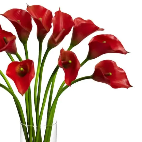 20" Mini Calla Lily Arrangement in Tall Vase, Red {3}