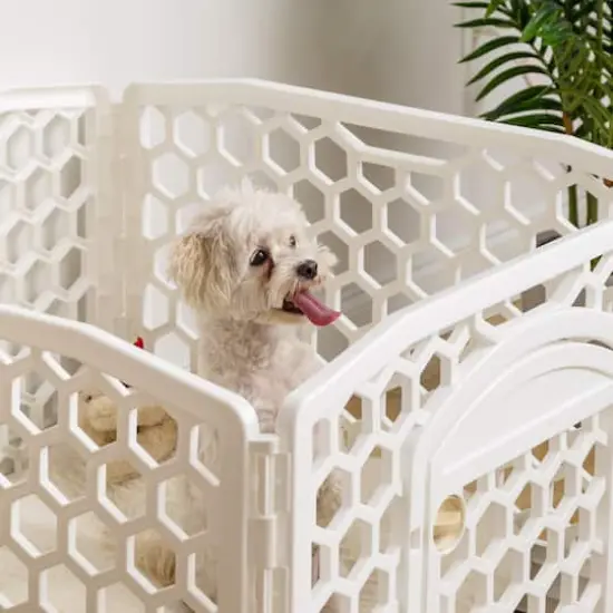 Iris&reg; 4-White Panel Pet Playpen {4}
