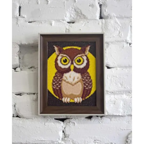 Wizardi Diamond Painting Kit Night Owl {1}