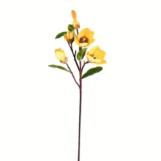 Yellow Magnolia Stem, 3ct. {1}