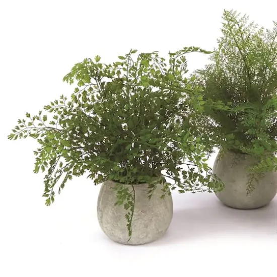 14" Potted Fern Plant in Gray Pot Set {4}