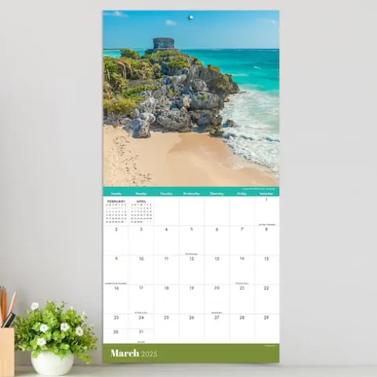 TF Publishing 2025 Mexico Wall Calendar {5}