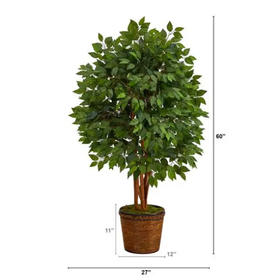5ft. Super Deluxe Ficus Tree in Wicker Planter {3}