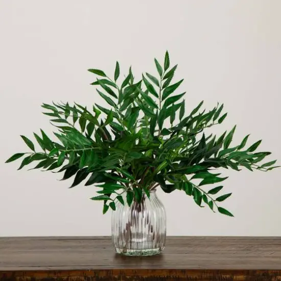 19" Palmate Fern Arrangement in Glass Vase {5}