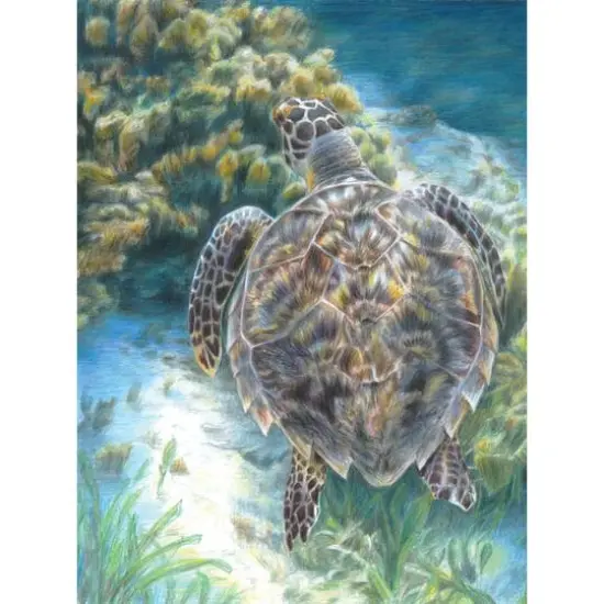 Royal & Langnickel&reg; Sea Turtle Colour Pencil&trade; by Numbers Kit {3}