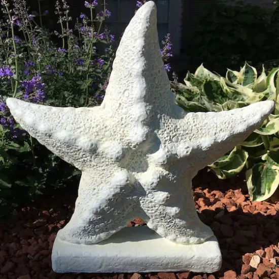 Santa's Workshop 17" Antique White Starfish D&eacute;cor {3}