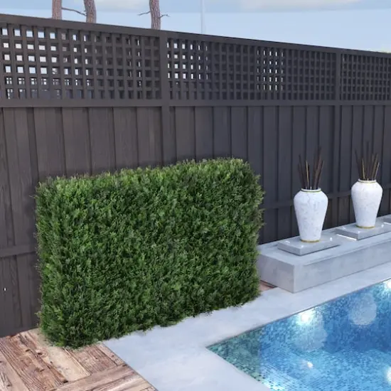 6ft. Cedar Hedge {3}