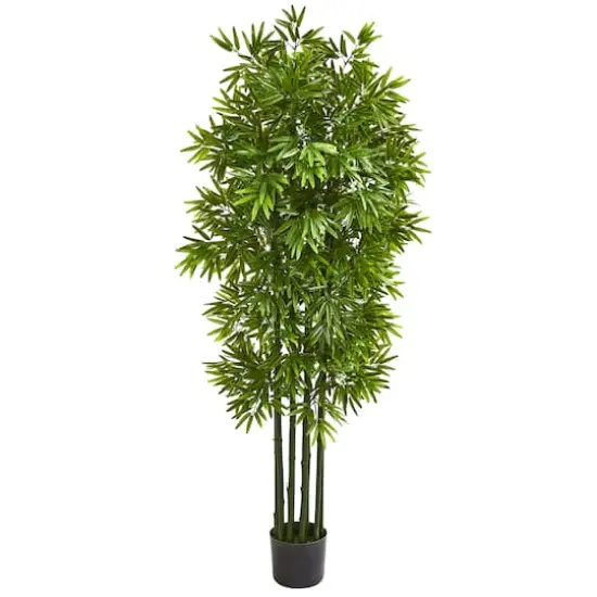 5.3ft. Potted Bamboo Tree {1}