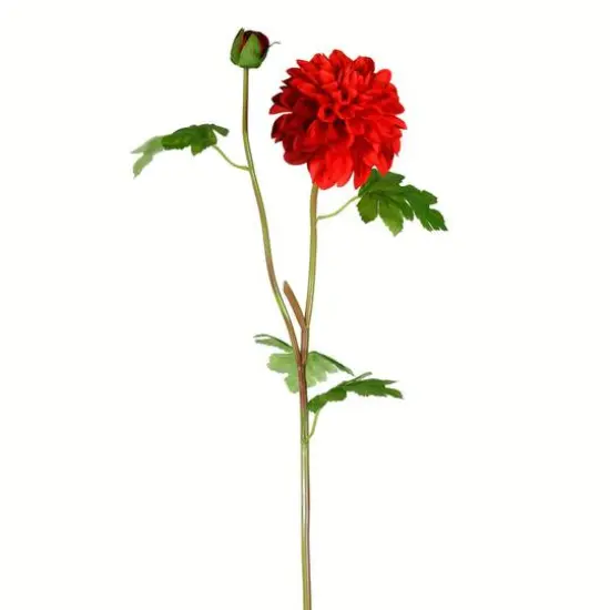 Red Dahlia Stem, 3ct. {1}
