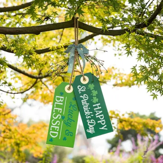 Glitzhome&reg; 24" St. Patrick's Wooden Doorknob Hanging D&eacute;cor {3}