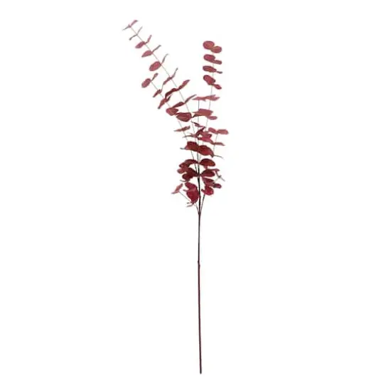 Tall Burgundy Eucalyptus Stem by Ashland&reg; {1}
