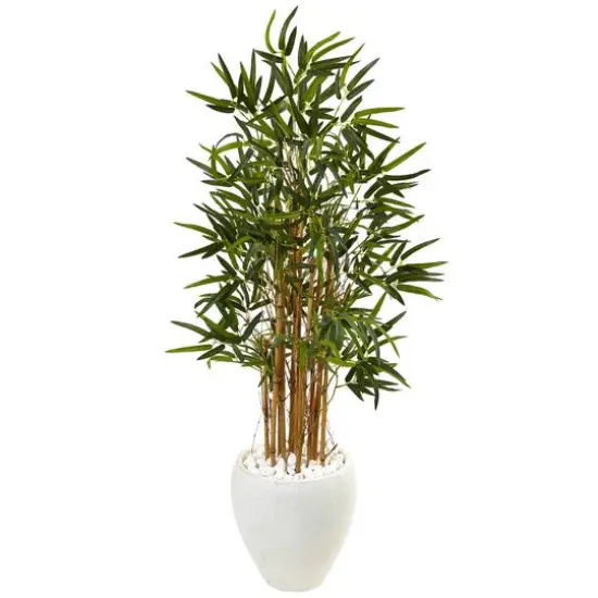 4ft. Bamboo Tree in White Oval Planter {1}