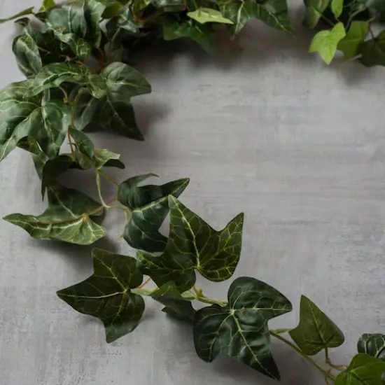 6ft. Green English Ivy Garland by Ashland&reg; {4}