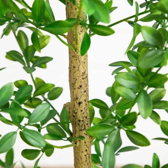 6ft. Artificial Shady Lady Black Olive Tree {6}