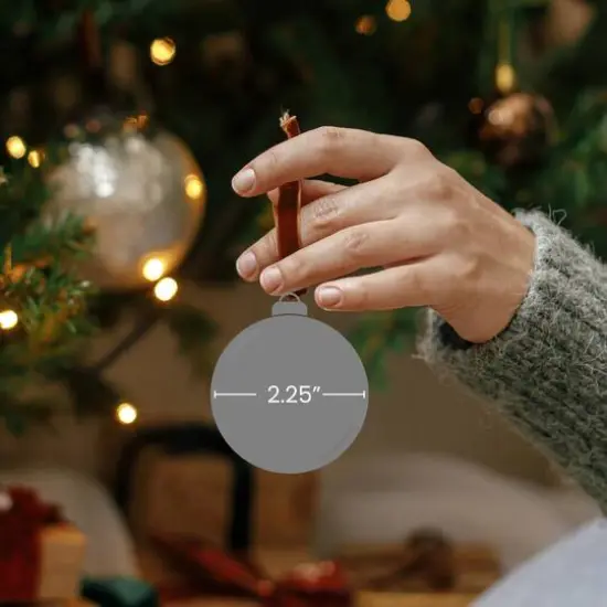 9ct. 2" Glass Ball Ornaments {5}