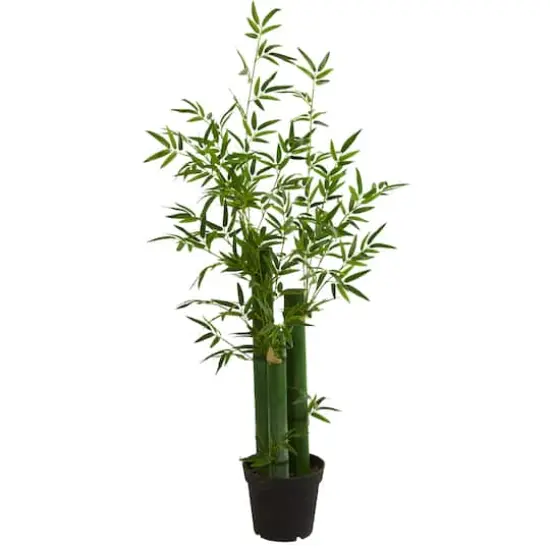 5ft. Potted Green Bamboo Tree {1}