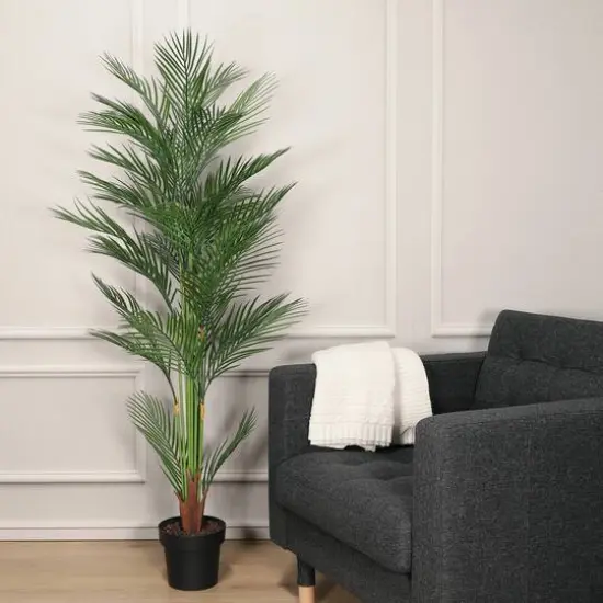 5.25ft. Potted Areca Palm Tree {4}