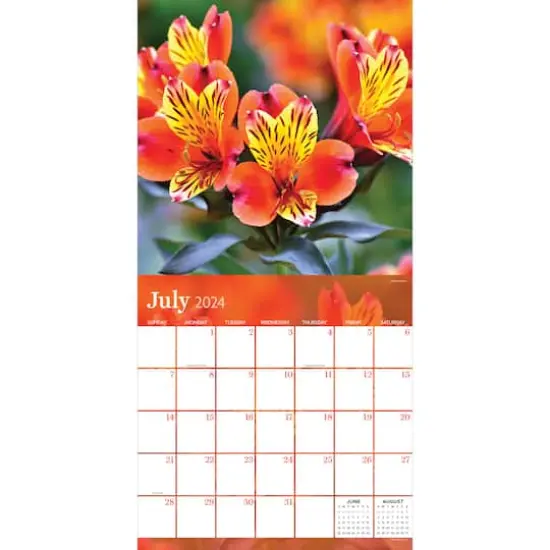 TF Publishing 2024 Flowers Wall Calendar {4}