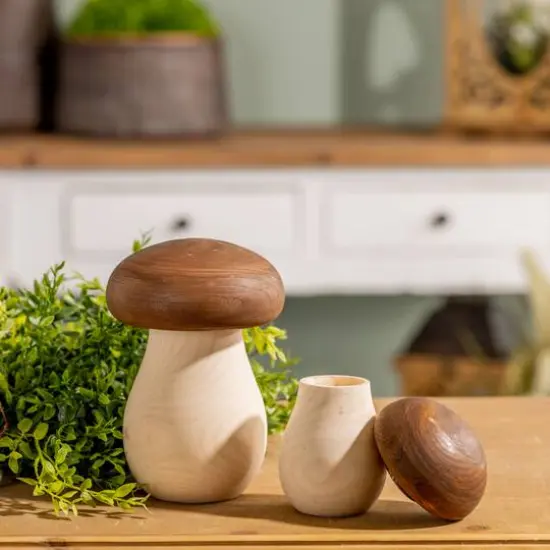 Wood Mushroom Box D&eacute;cor Set {9}
