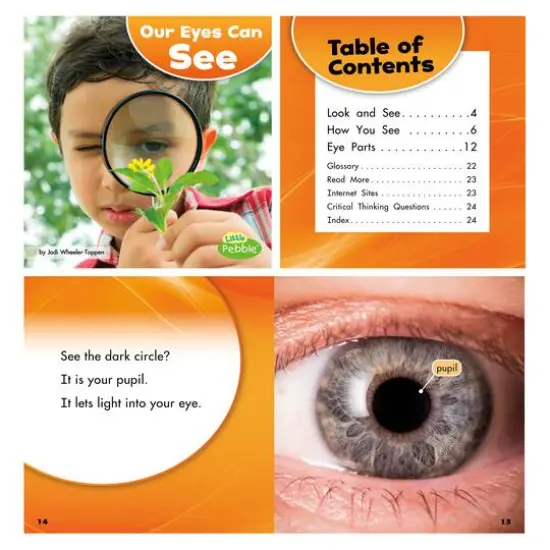 Capstone Press Our Amazing Senses Set {6}