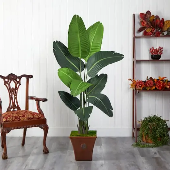 5.5ft. Travelers Palm Artificial Tree in Brown Planter {4}