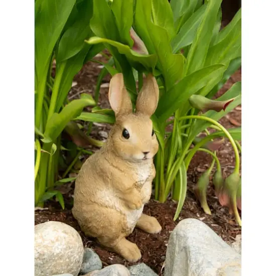 11" Curiously Cute Bunny Garden Figurine {3}
