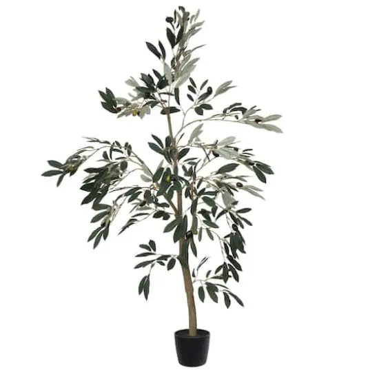 4ft. Potted Olive Tree {1}