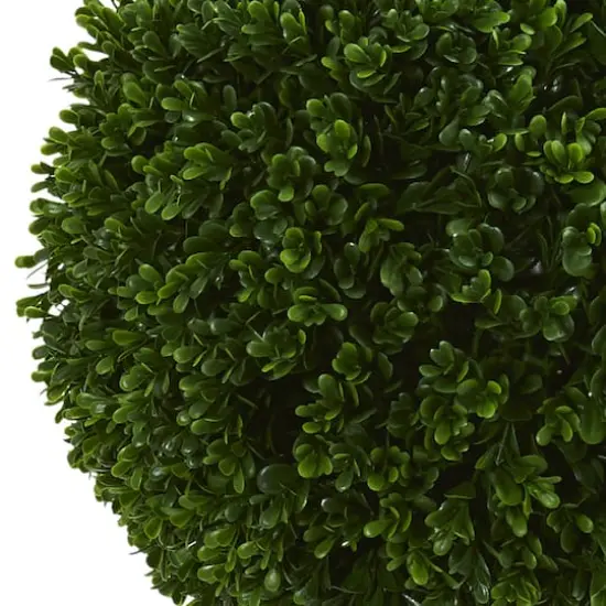 3.5ft. Potted Boxwood Double Ball Topiary Tree {3}